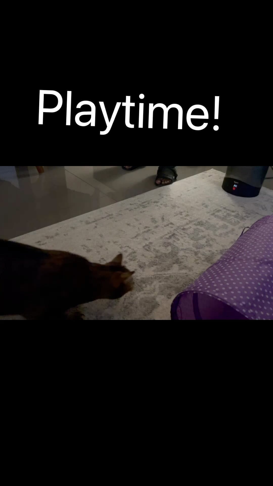 Post 7 by 😻Gorgeous Georgia😻 on Instagram (video)