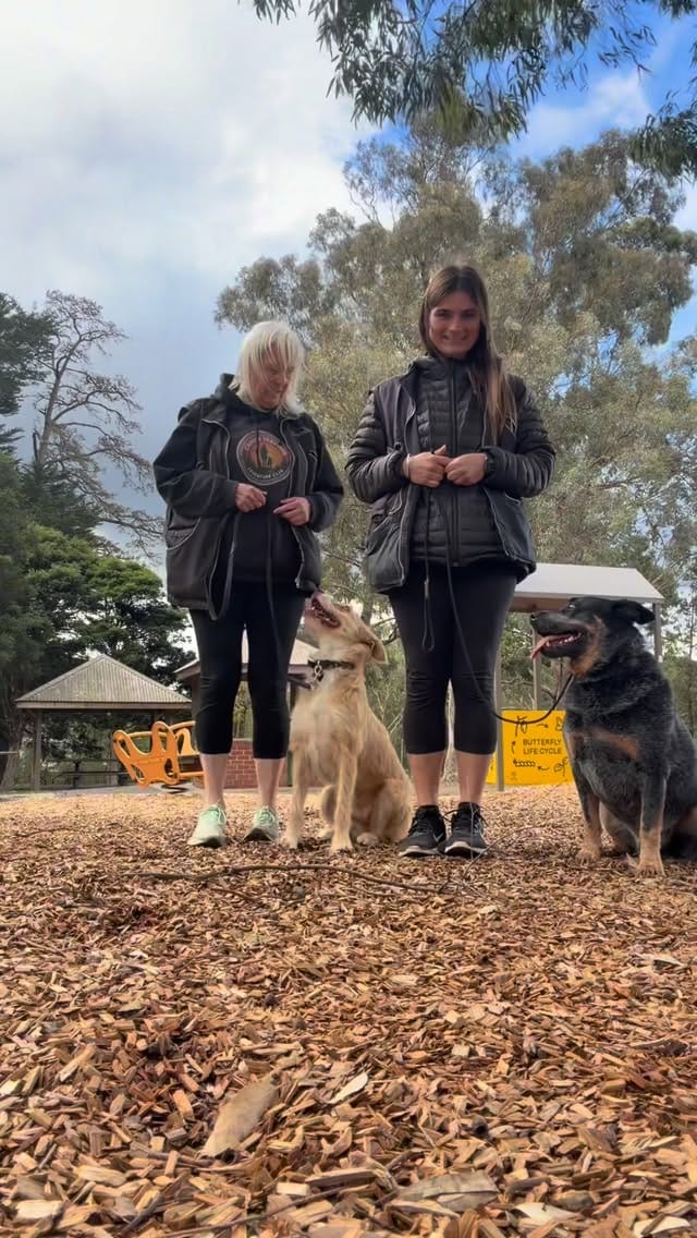 Post 1 by Canine Training Adventure Club on Instagram (video)