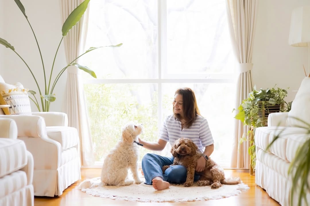 Post 4 by Katy & Shell | Melbourne In-Home Pet Photographers on Instagram (carousel)