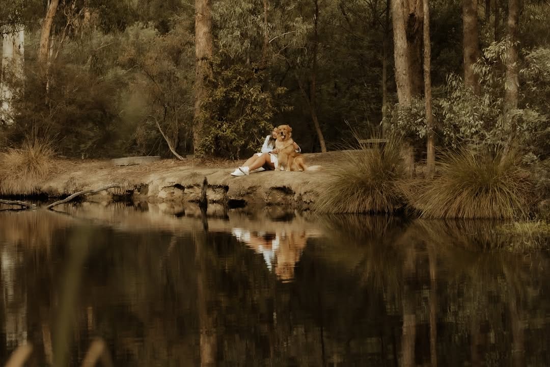 Post 7 by Katy & Shell | Melbourne In-Home Pet Photographers on Instagram (carousel)