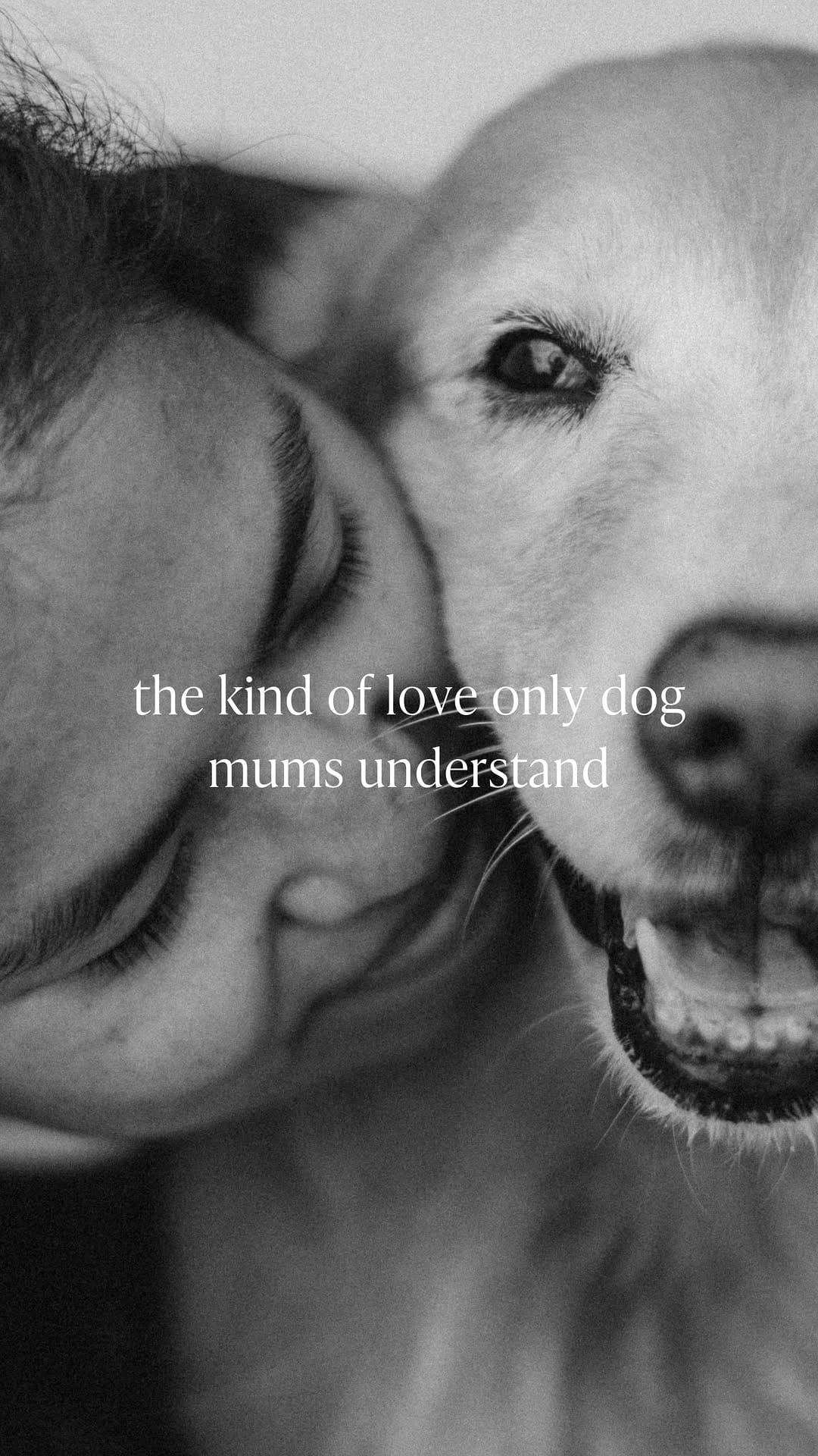 Post 5 by Katy & Shell | Melbourne In-Home Pet Photographers on Instagram (video)