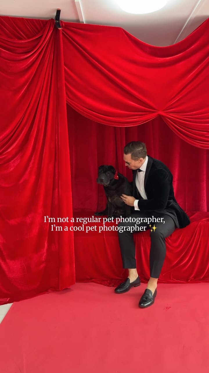 Post 3 by Sarah Woodward Pet Photography on Instagram (video)