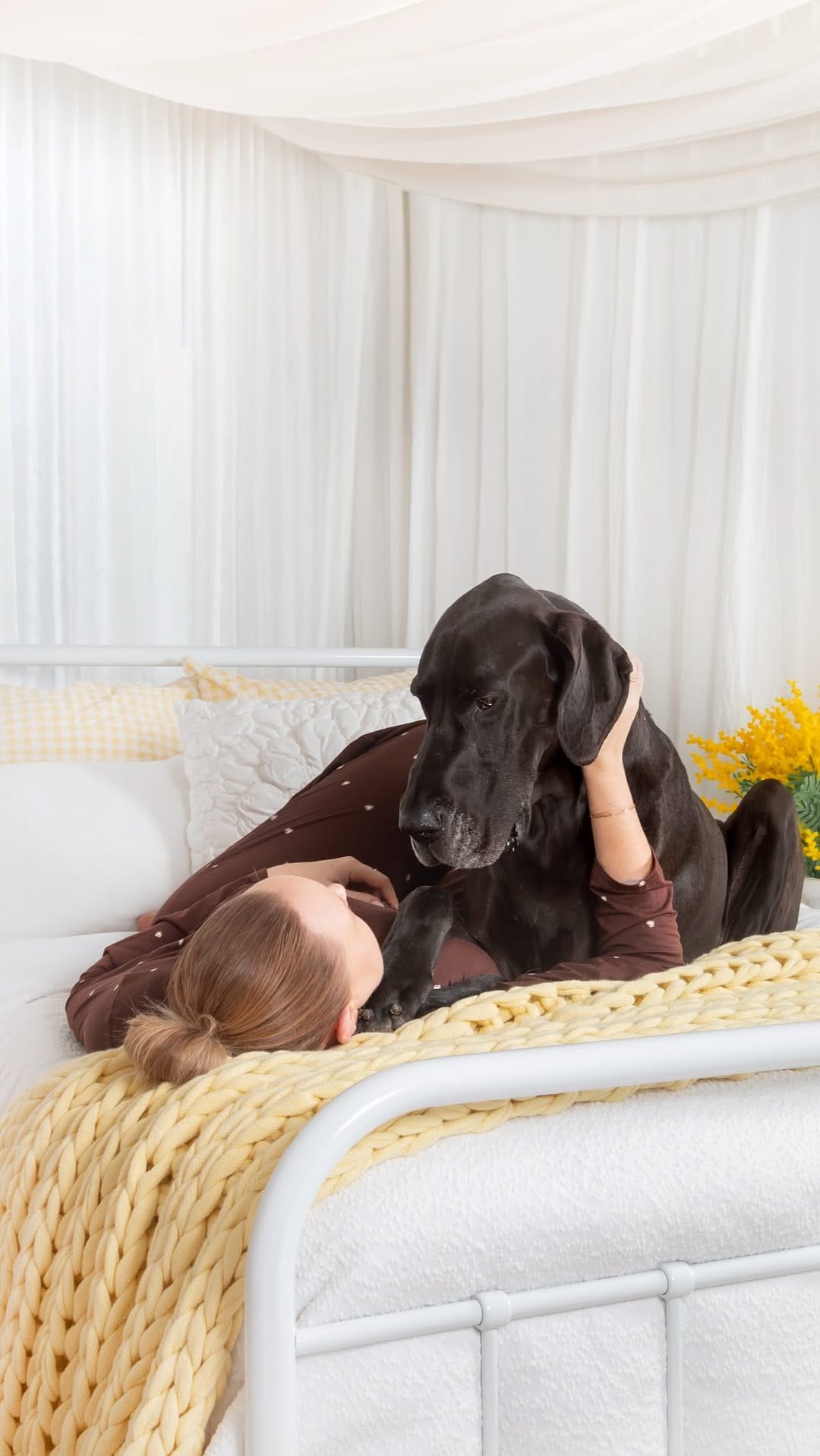 Post 2 by Sarah Woodward Pet Photography on Instagram (video)