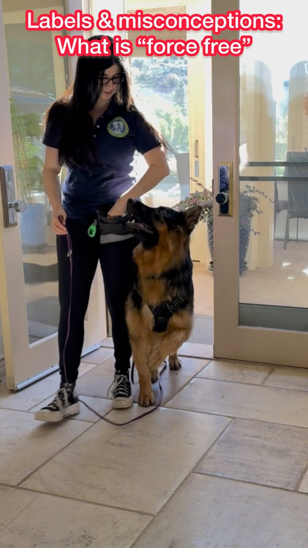 Post 10 by Melissa Goodman | Dog Trainer on Instagram (video)