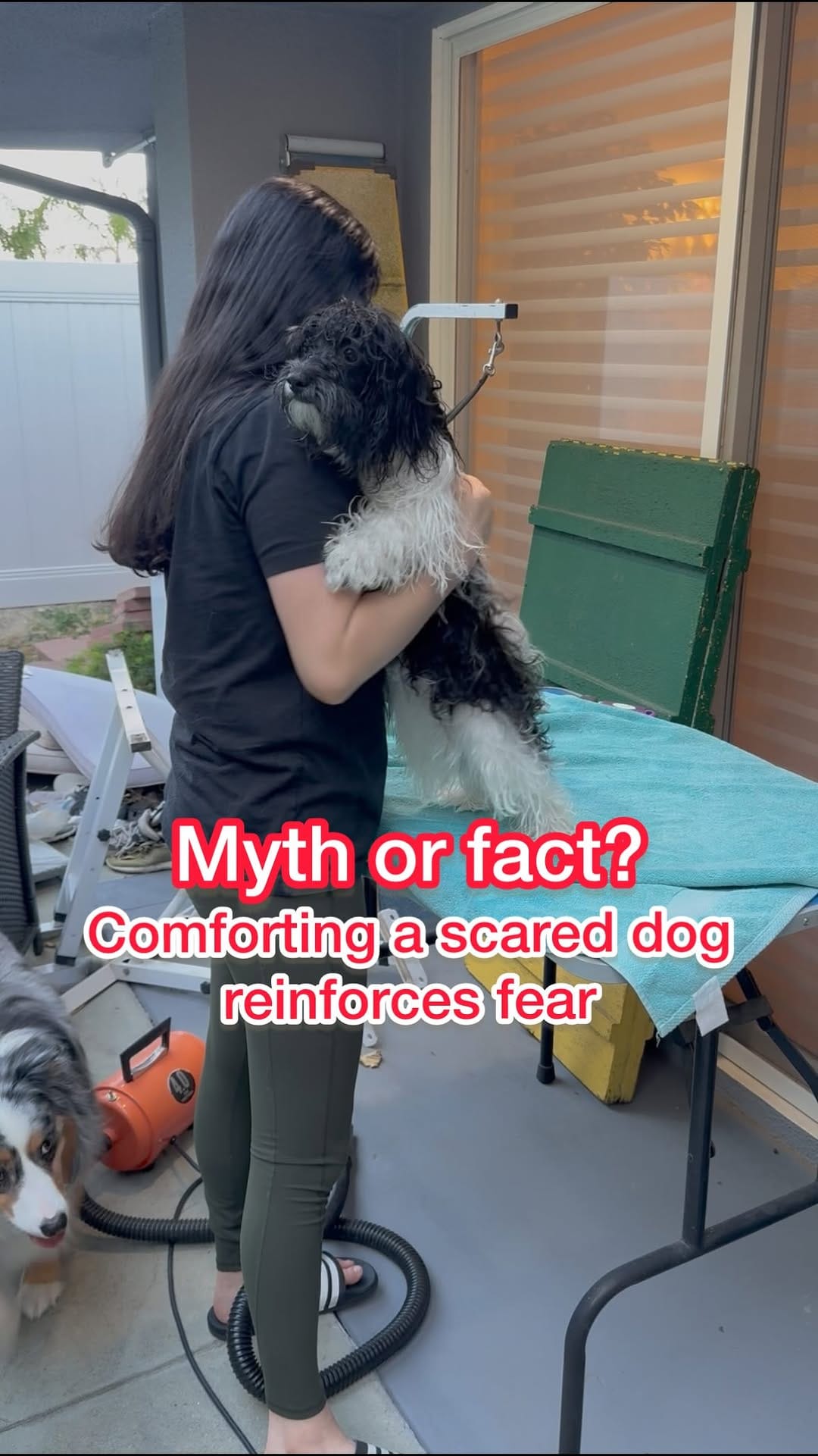 Post 5 by Melissa Goodman | Dog Trainer on Instagram (video)