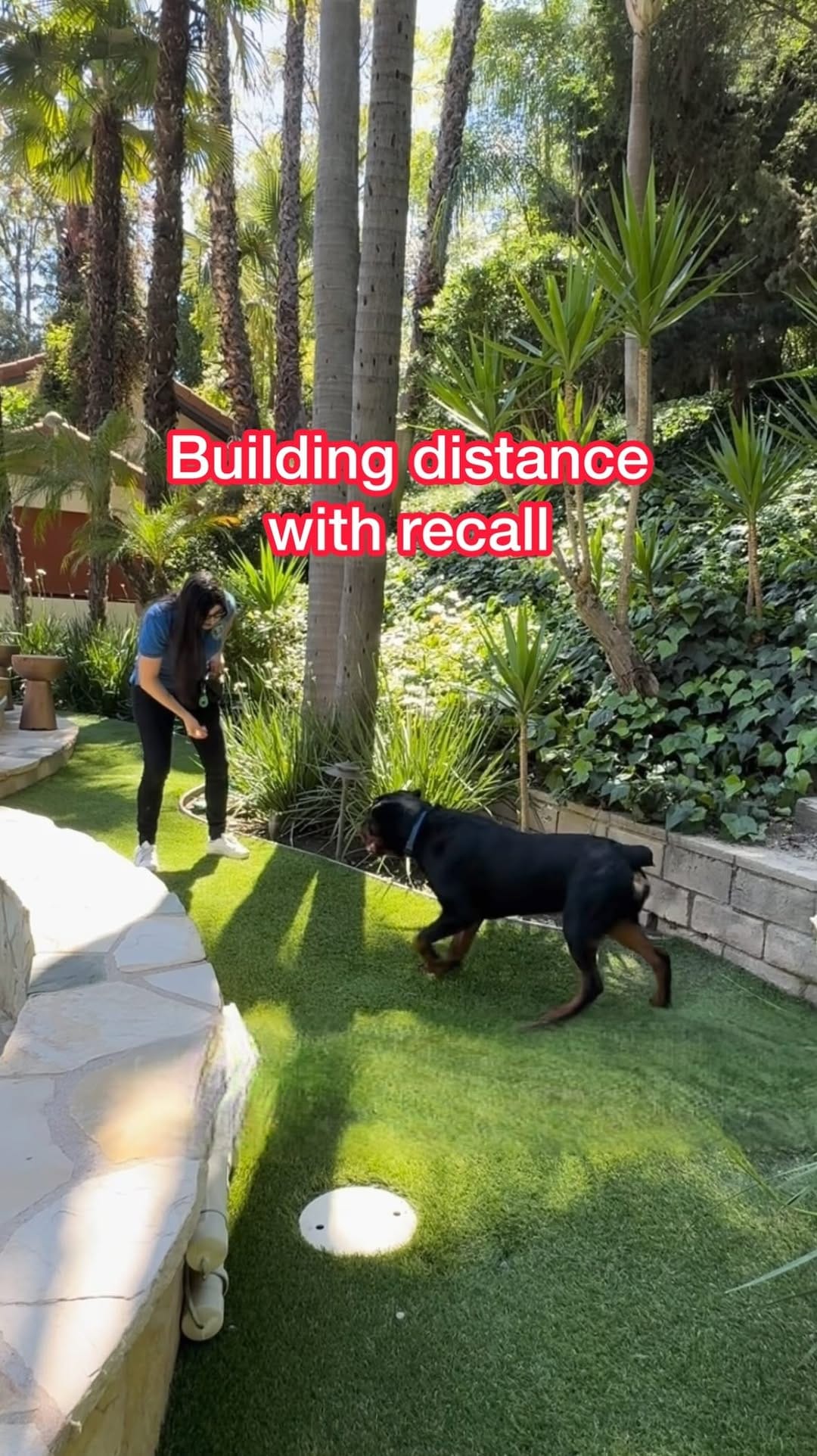 Post 2 by Melissa Goodman | Dog Trainer on Instagram (video)