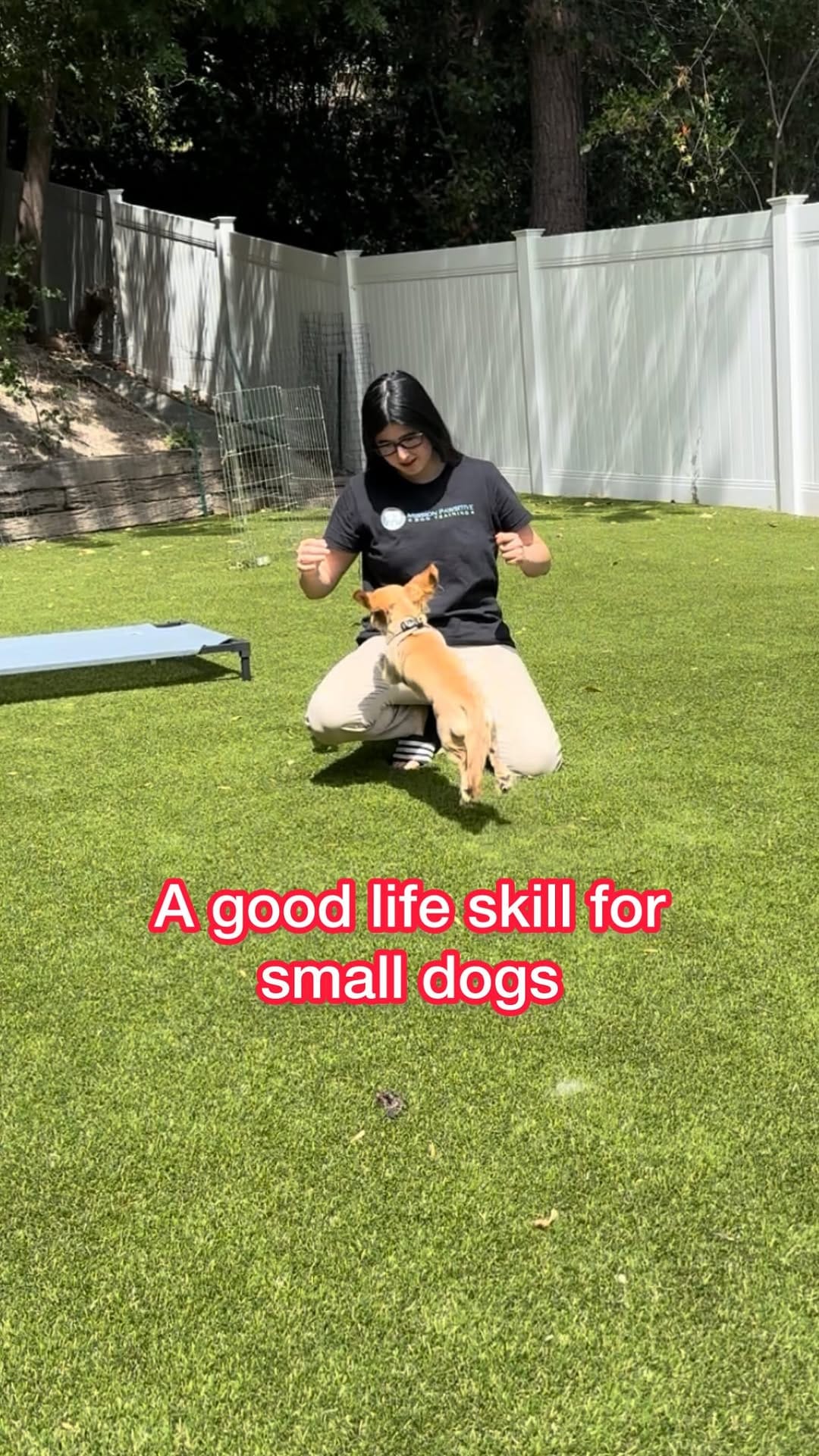 Post 7 by Melissa Goodman | Dog Trainer on Instagram (video)