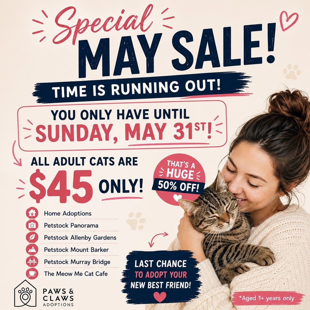 Post 1 by Paws & Claws Adoptions Inc. on Instagram (image)