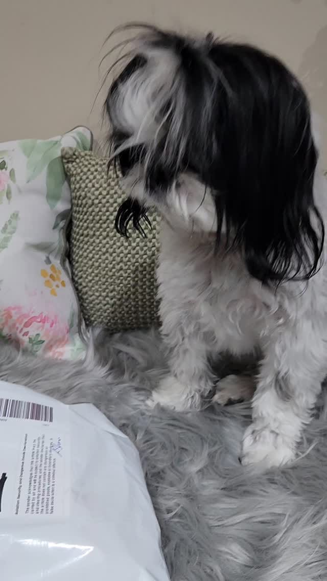 Post 8 by LOVEPUP on Instagram (video)