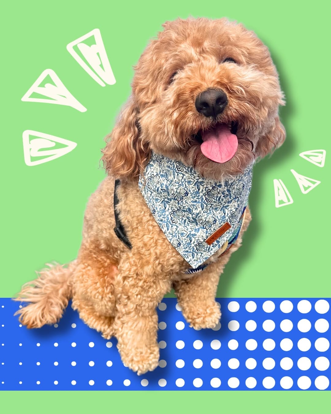 Post 10 by LOVEPUP on Instagram (image)