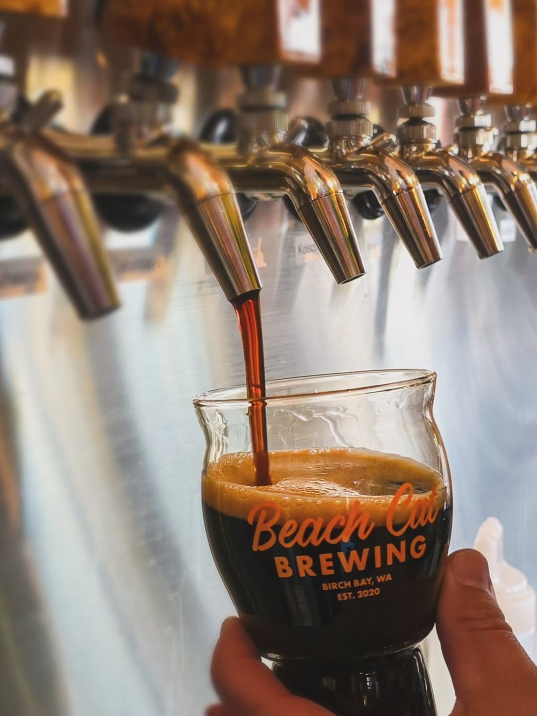 Post 4 by Beach Cat Brewing: South Paw on Instagram (carousel)