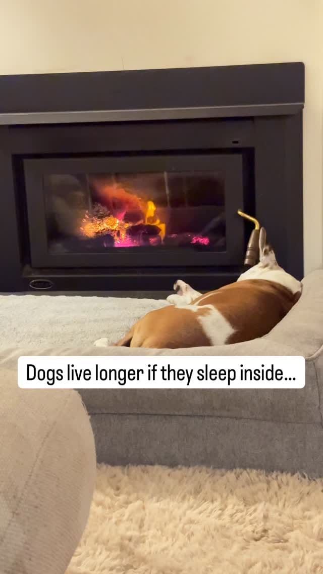 Post 6 by Laura Vissaritis on Instagram (video)