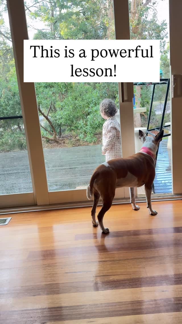 Post 8 by Laura Vissaritis on Instagram (video)