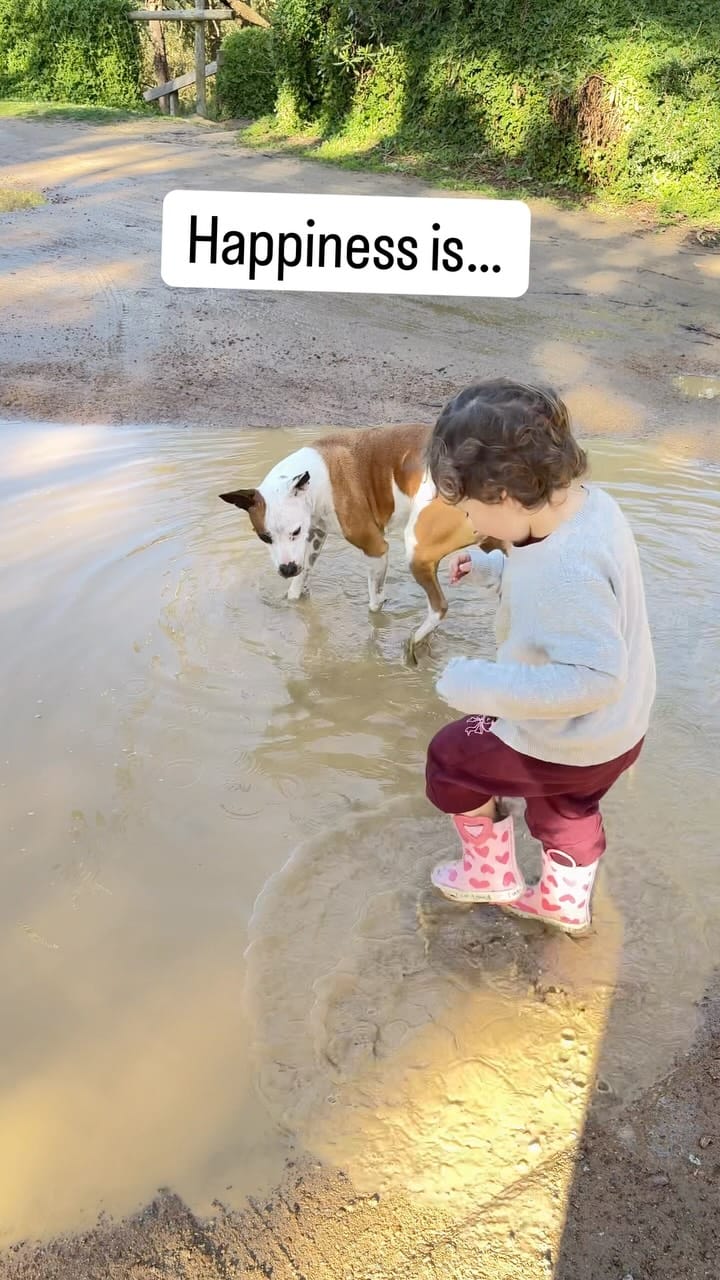 Post 7 by Laura Vissaritis on Instagram (video)