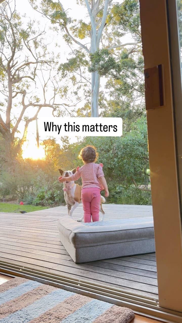 Post 4 by Laura Vissaritis on Instagram (video)
