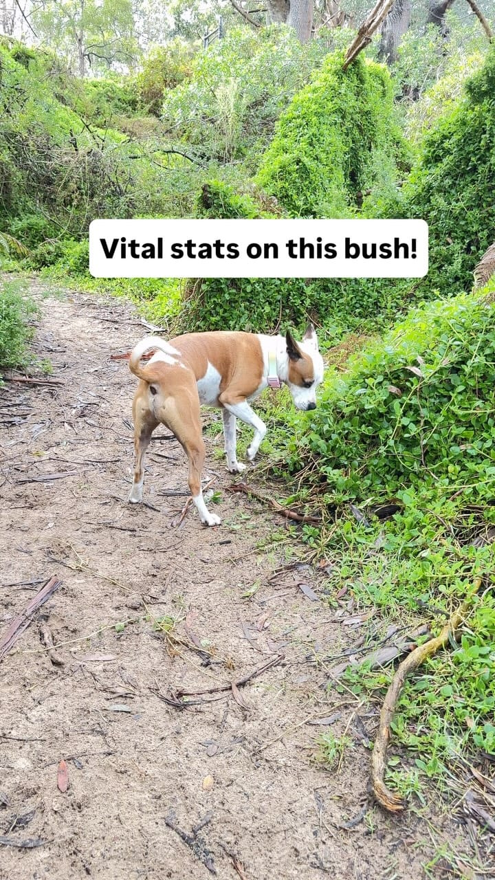 Post 2 by Laura Vissaritis on Instagram (video)