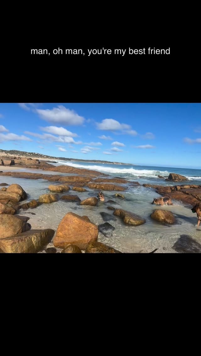 Post 4 by B I G   N O S E on Instagram (video)