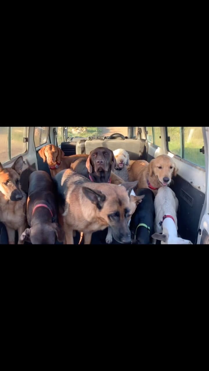 Post 9 by B I G   N O S E on Instagram (video)