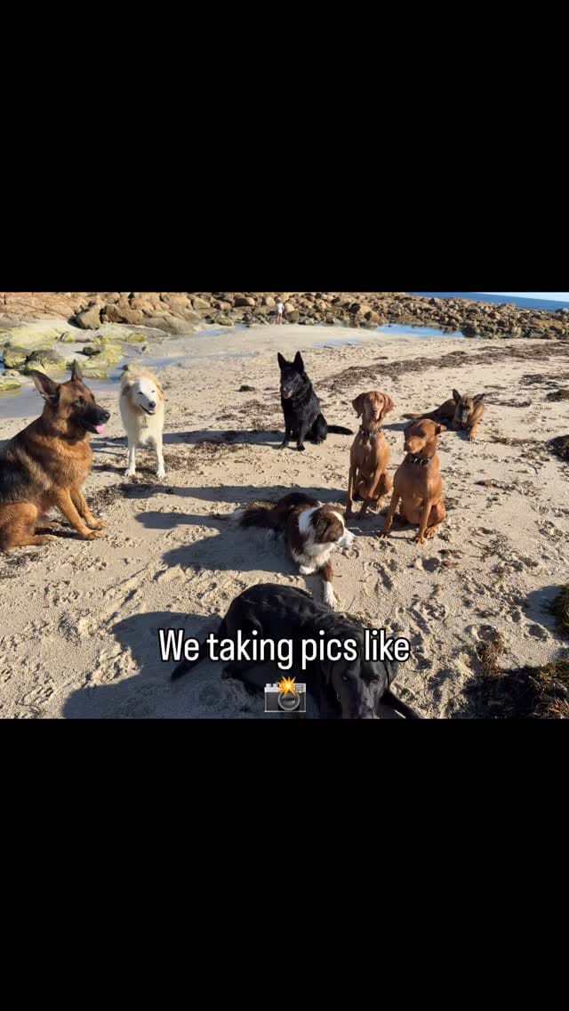 Post 2 by B I G   N O S E on Instagram (video)