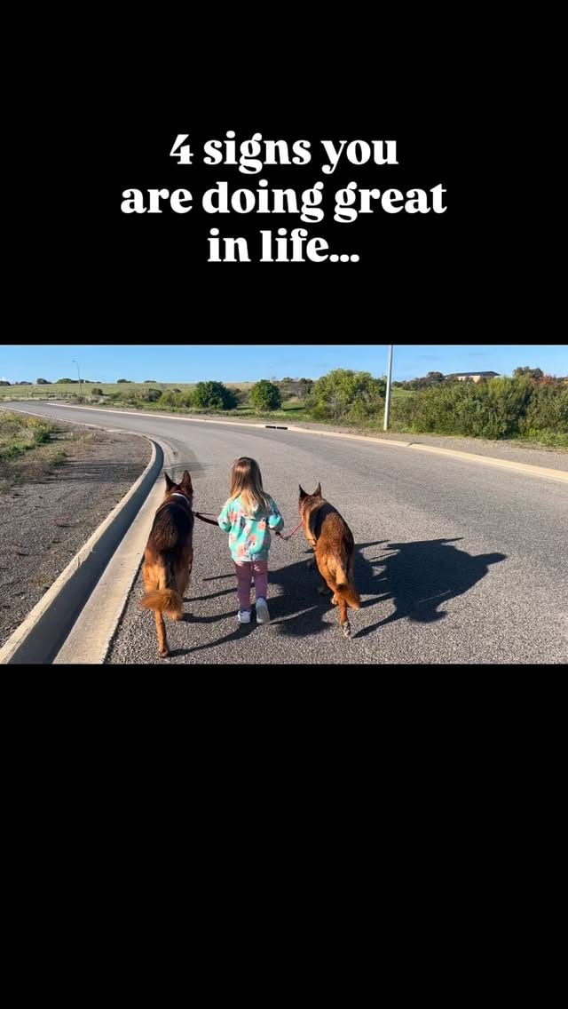 Post 7 by B I G   N O S E on Instagram (video)