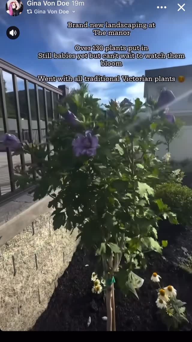 Post 1 by Gina Von Doe on Instagram (video)