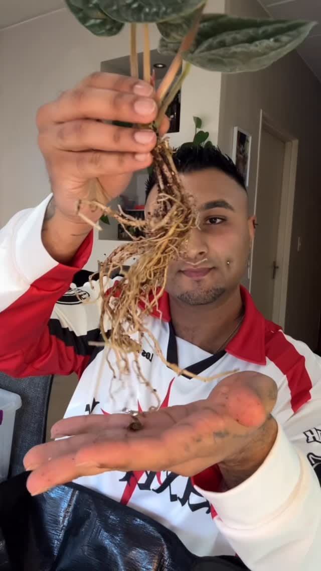 Post 7 by Damigio Esbach on Instagram (video)