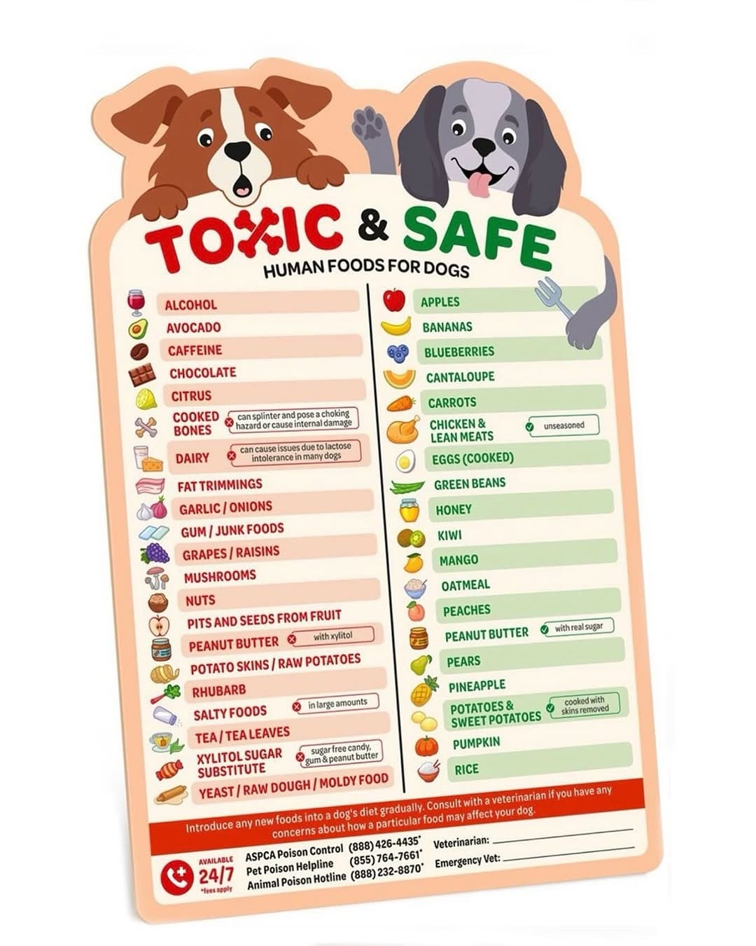 Post 6 by @raisingtheperfectpet on Instagram (image)