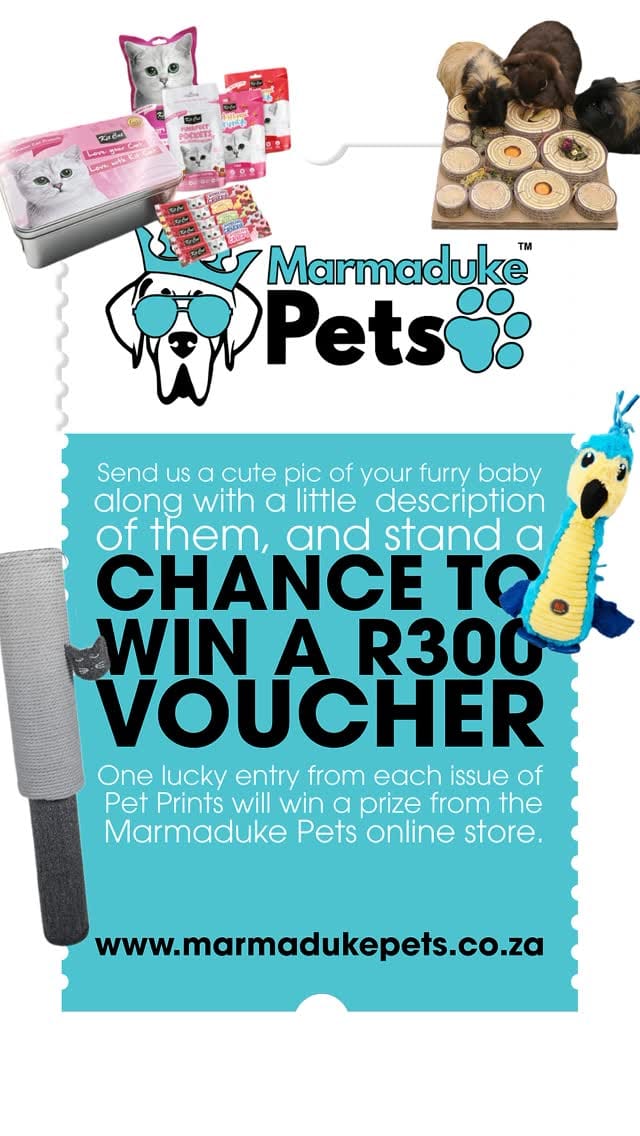 Post 10 by PetPrints Magazine on Instagram (video)