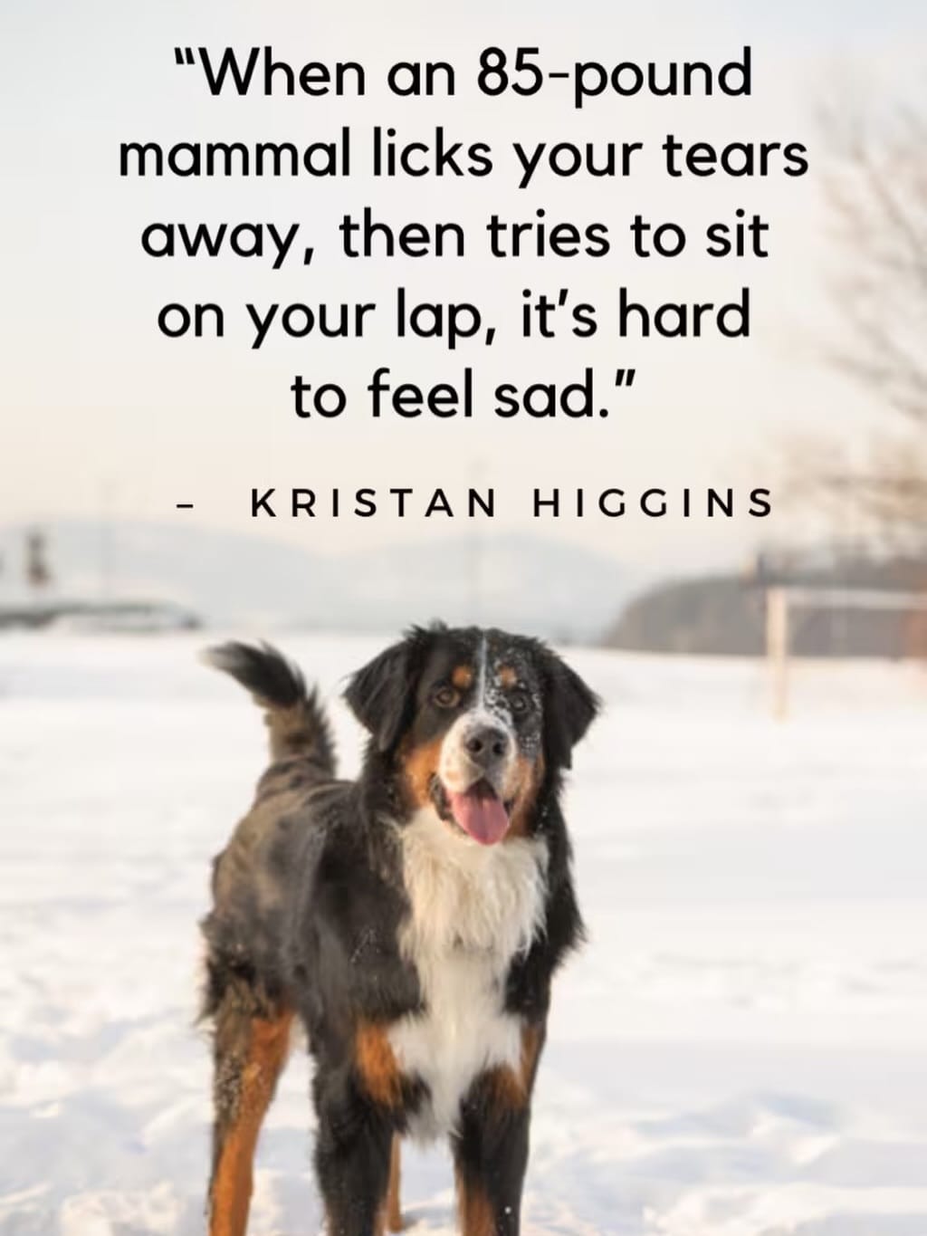 Post 3 by PetPrints Magazine on Instagram (image)