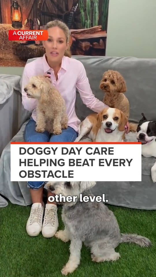 Post 10 by Farmtastic Doggy Daycare on Instagram (video)