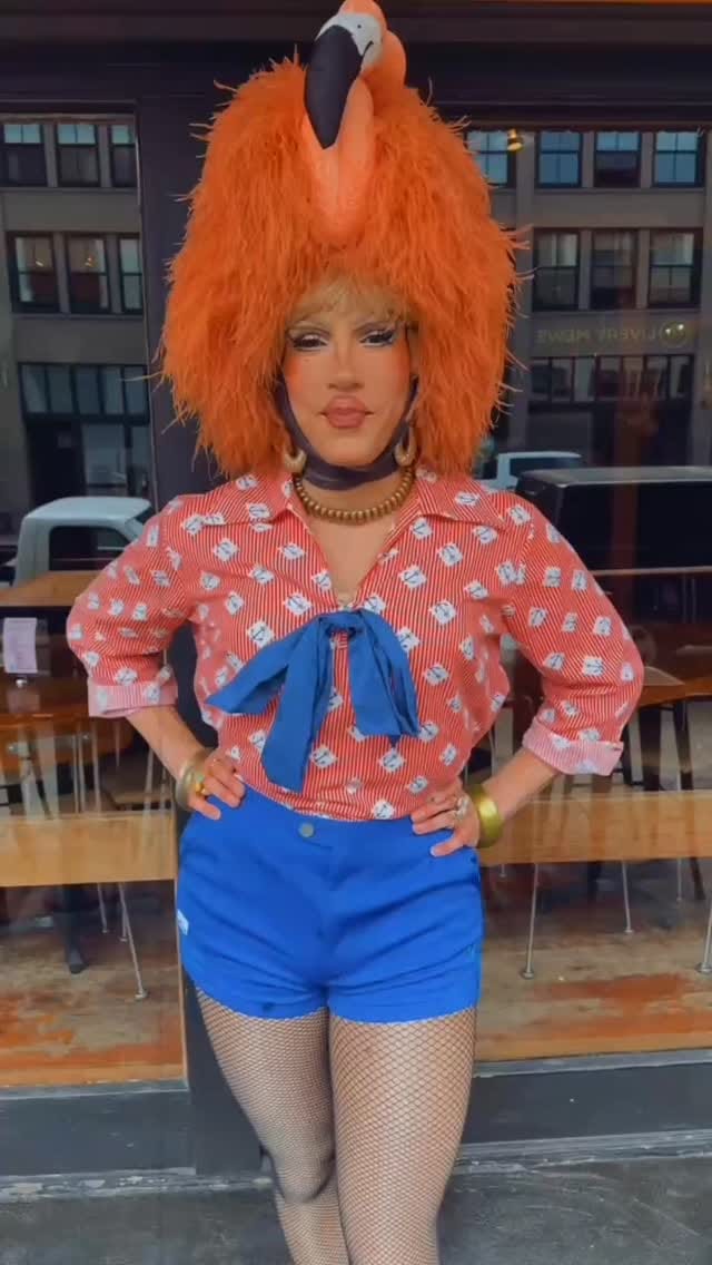 Post 8 by Vivian Vanderpuss on Instagram (video)