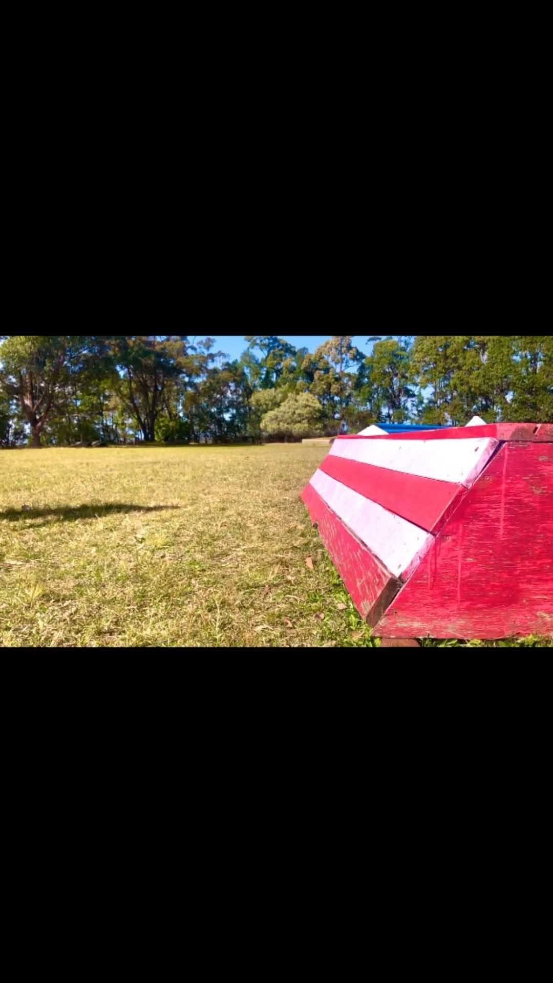Post 8 by Schnitzel Von Crumb on Instagram (video)
