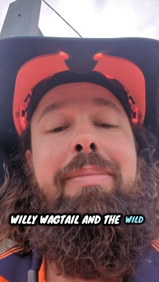 Post 7 by Roy Molloy on Instagram (video)
