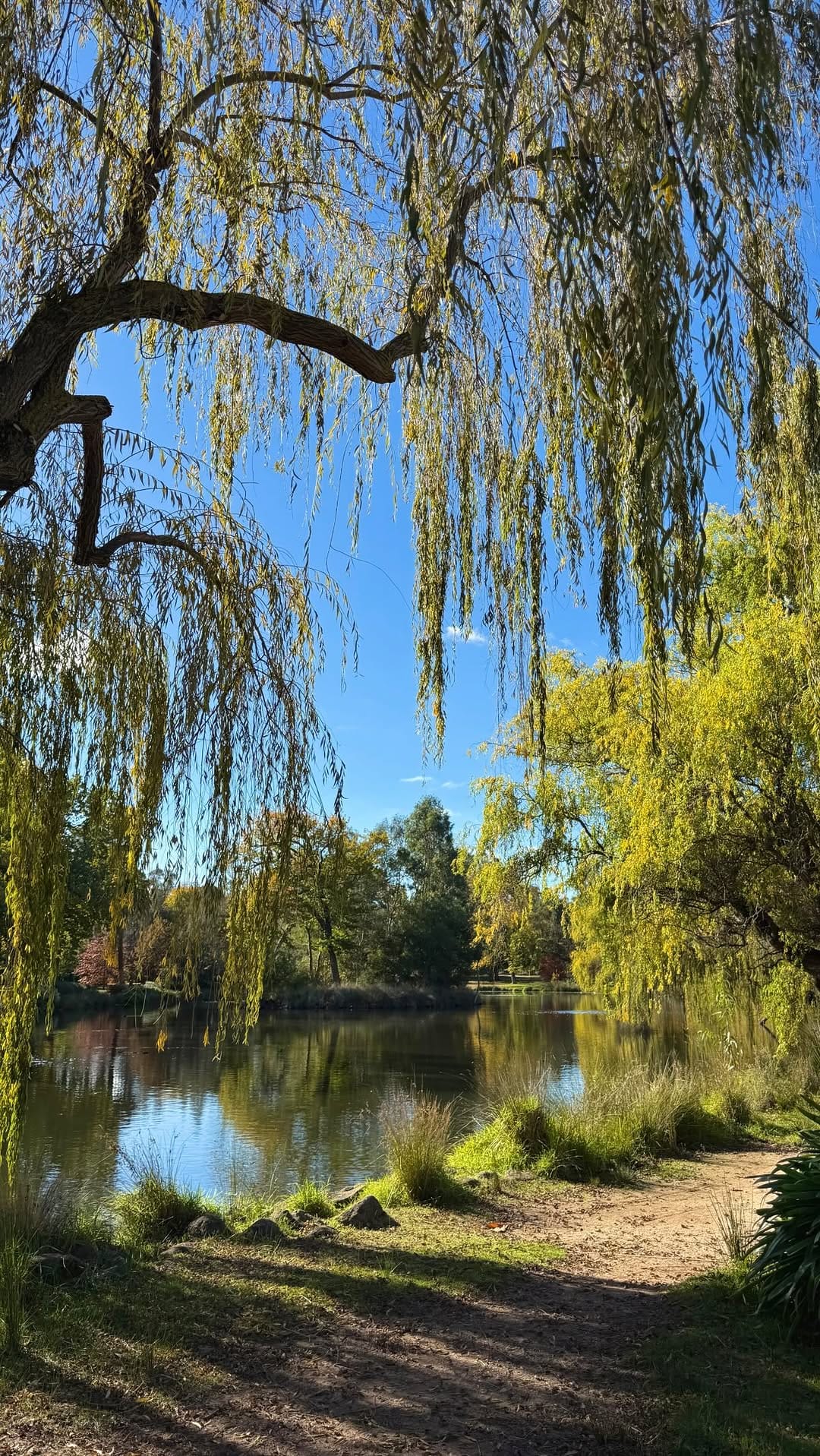 Post 3 by Molly Thompson on Instagram (video)
