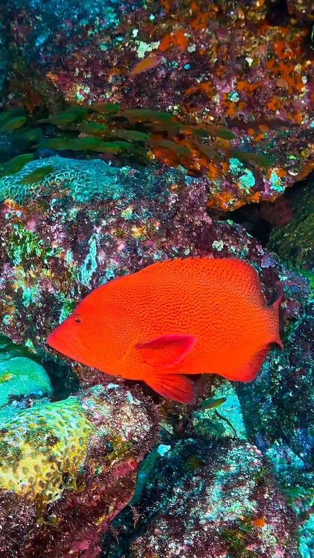 Post 3 by Andrii Slonchak on Instagram (video)