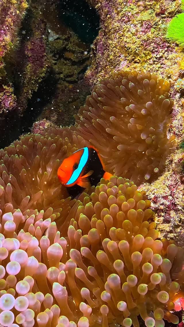 Post 5 by Andrii Slonchak on Instagram (video)