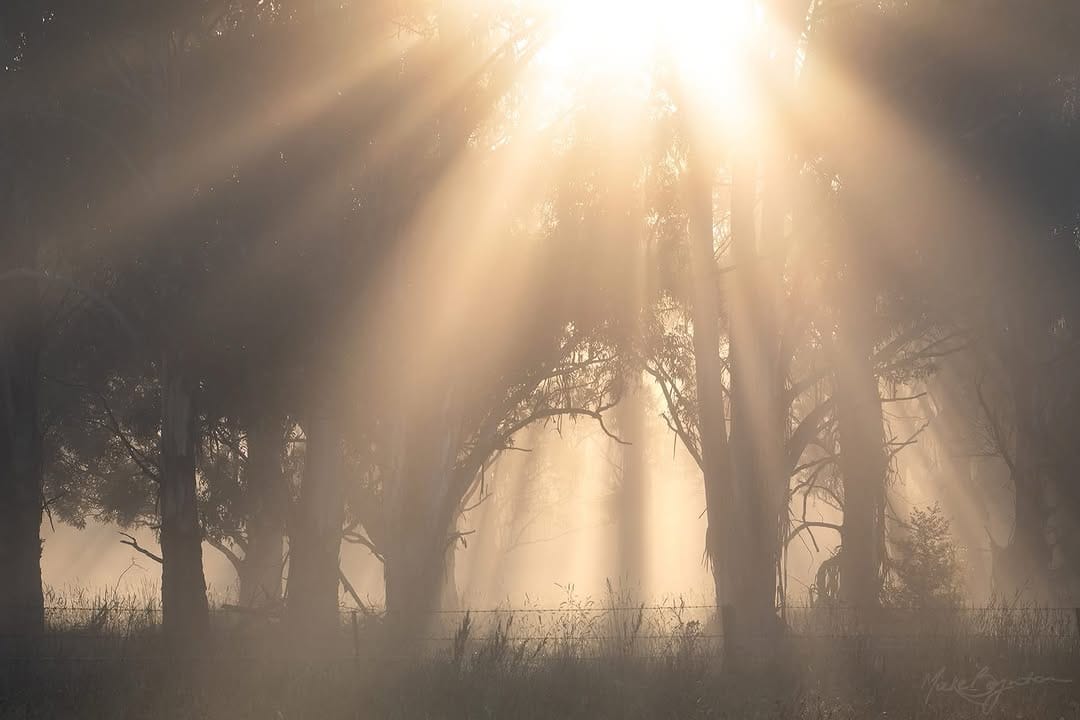 Post 8 by Mieke Boynton on Instagram (image)