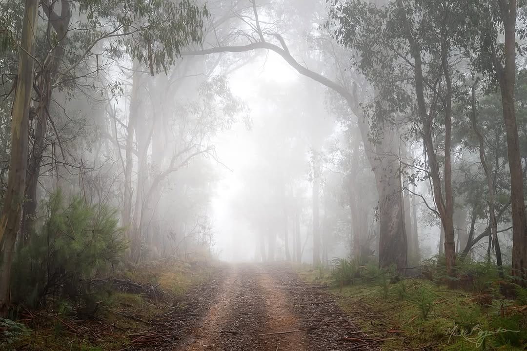 Post 9 by Mieke Boynton on Instagram (image)
