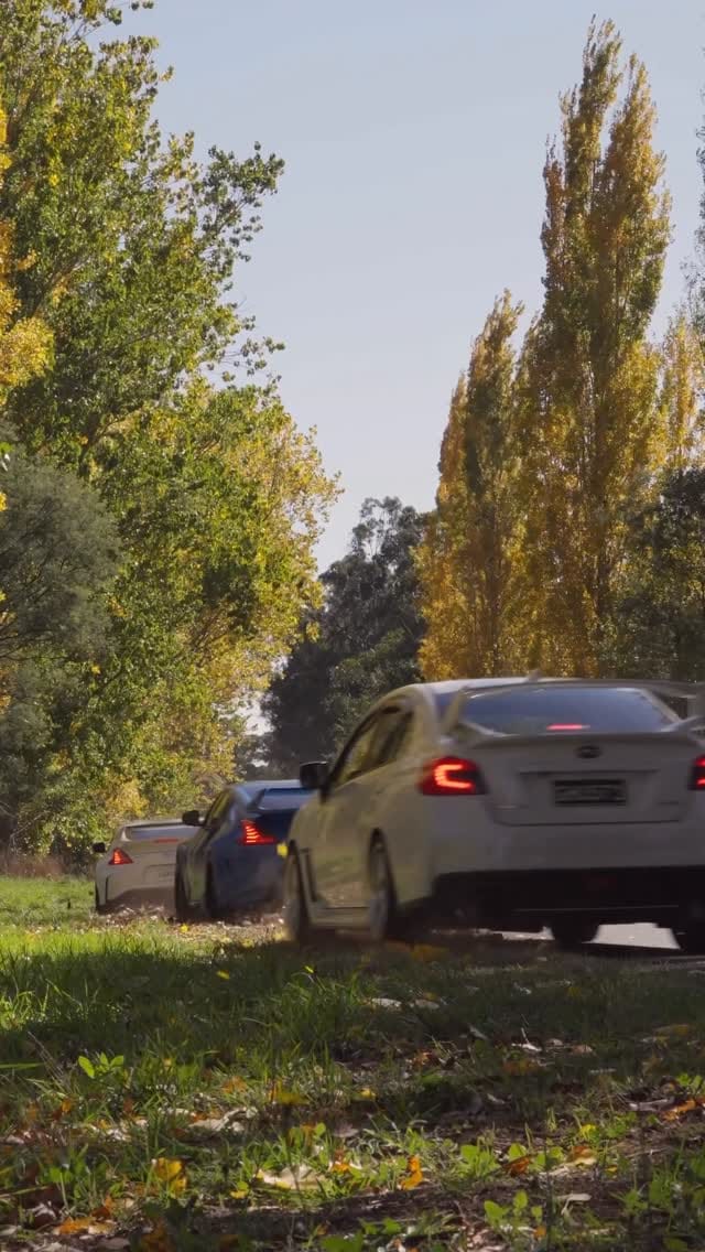 Post 10 by Jesse on Instagram (video)