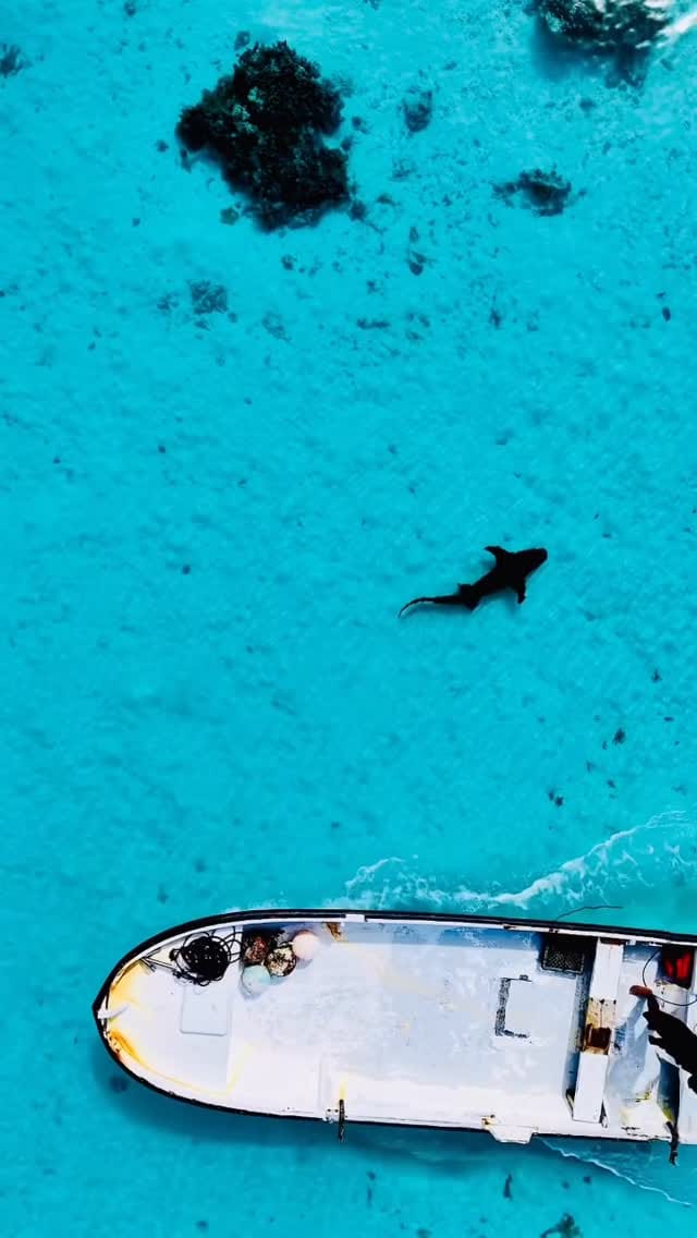 Post 6 by Sarina Jackson on Instagram (video)