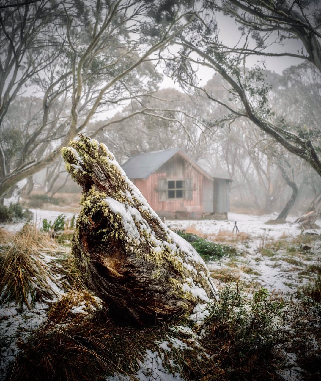 Post 5 by Sarina Jackson on Instagram (image)