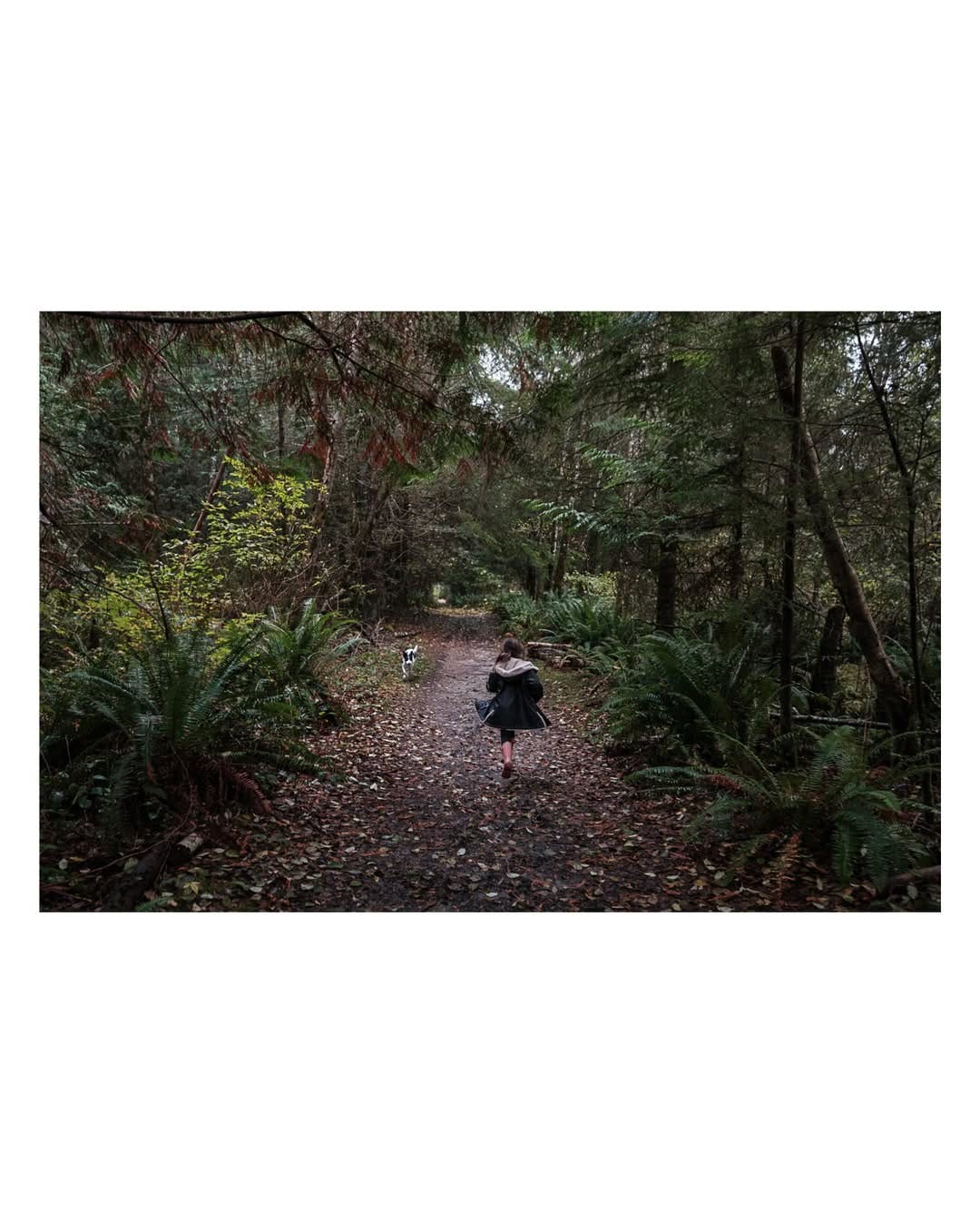 Post 2 by Kevin Jamieson on Instagram (carousel)