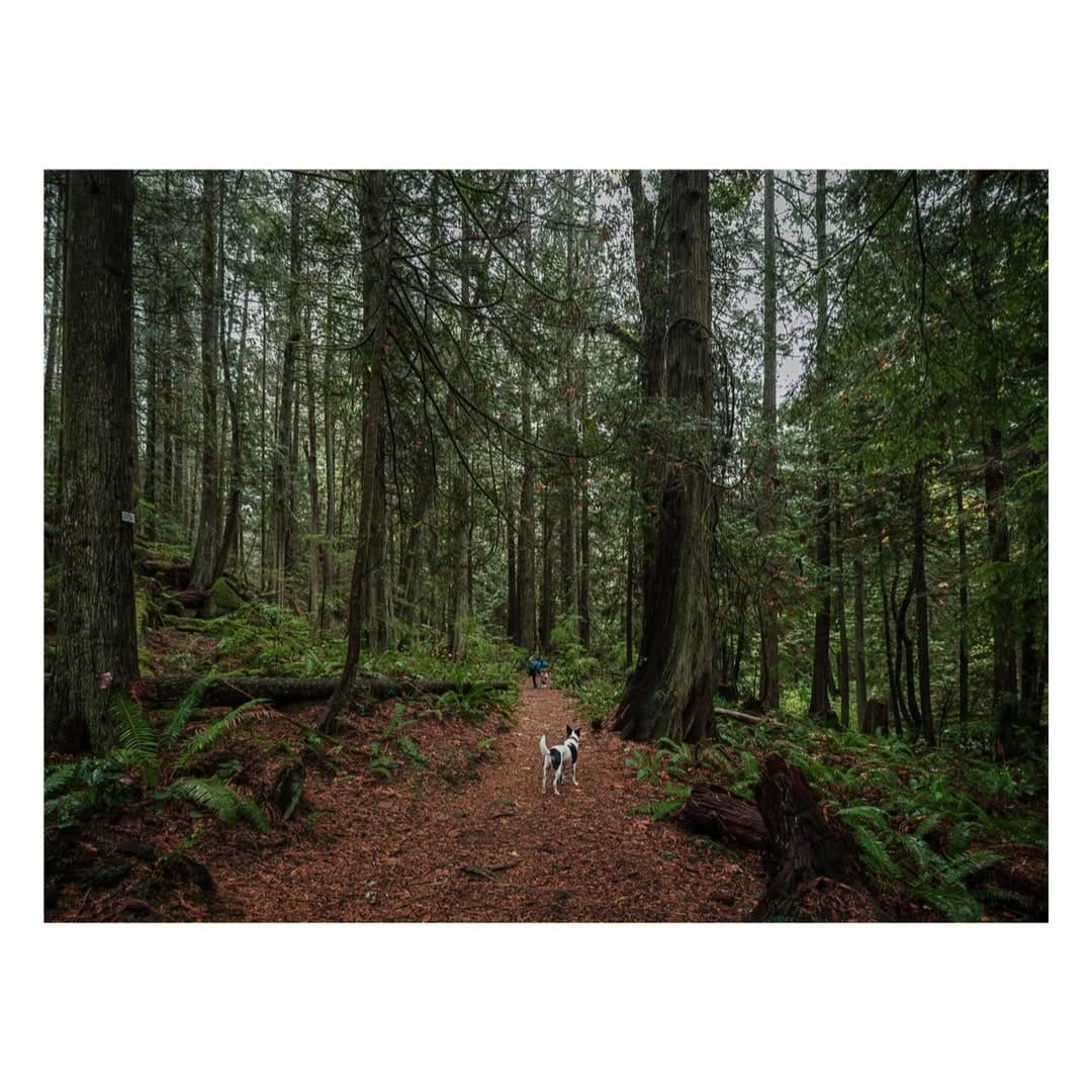 Post 10 by Kevin Jamieson on Instagram (image)
