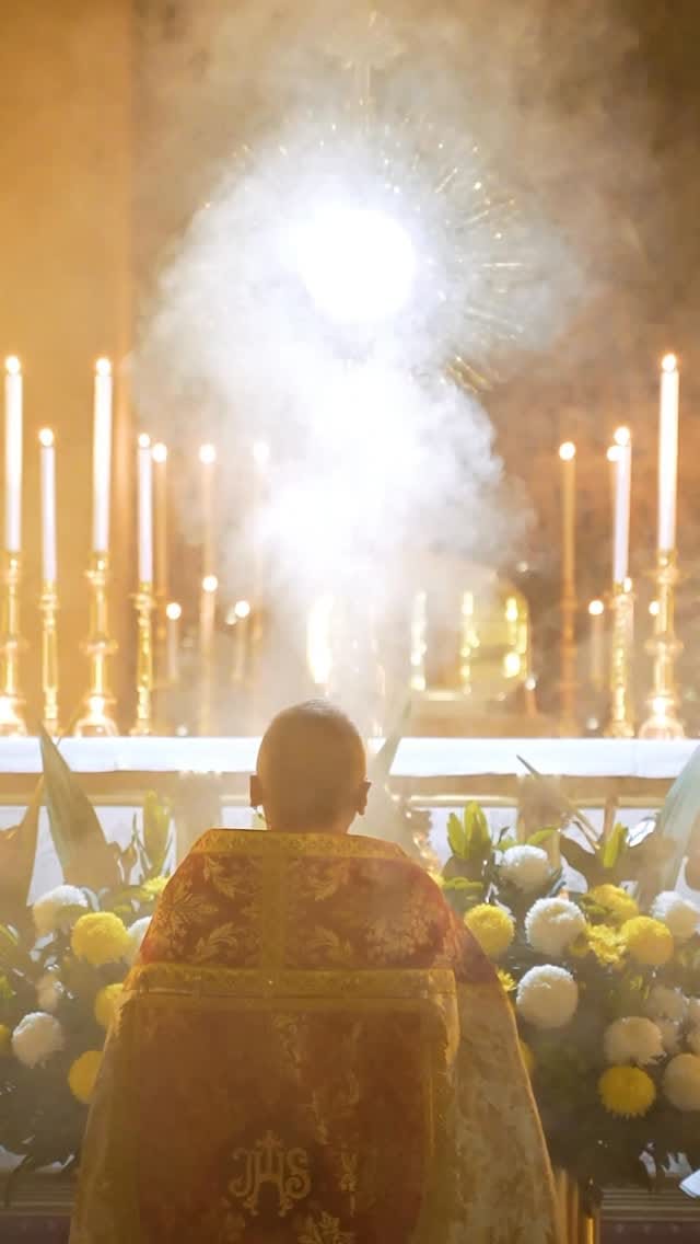 Post 2 by New Ark Films on Instagram (video)
