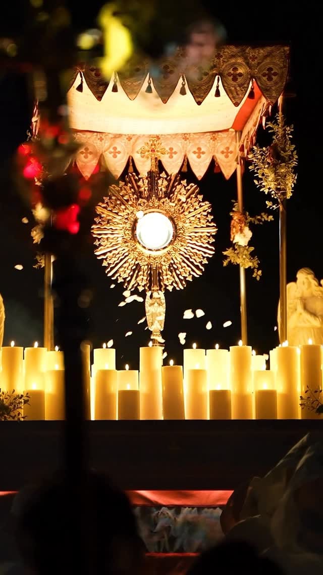 Post 4 by New Ark Films on Instagram (video)