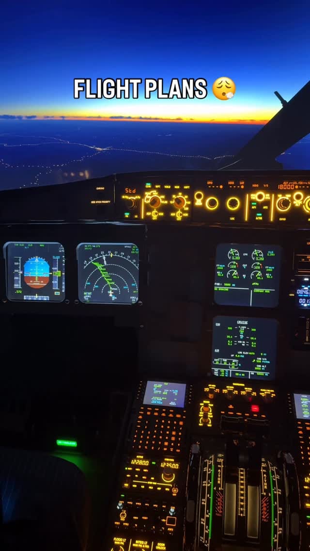 Post 5 by TheFlightDoc on Instagram (video)