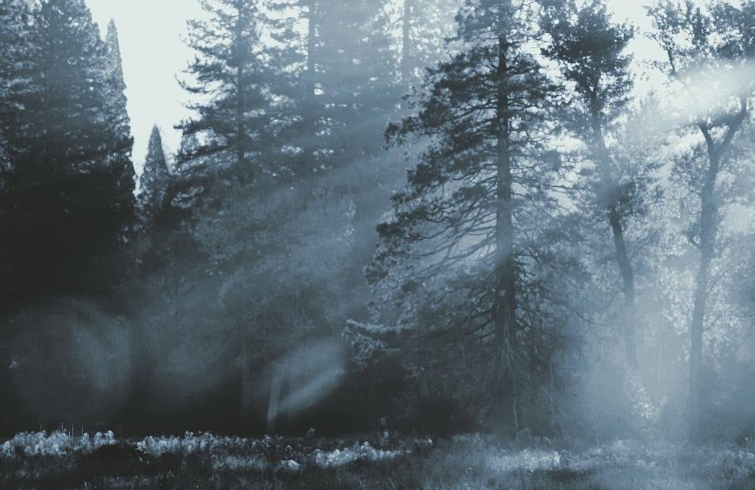 Post 6 by Patricia •🌷🐝• on Instagram (image)