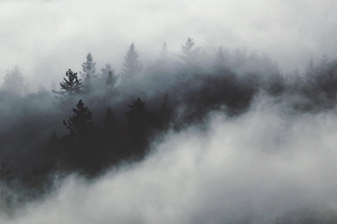 Post 10 by Patricia •🌷🐝• on Instagram (image)