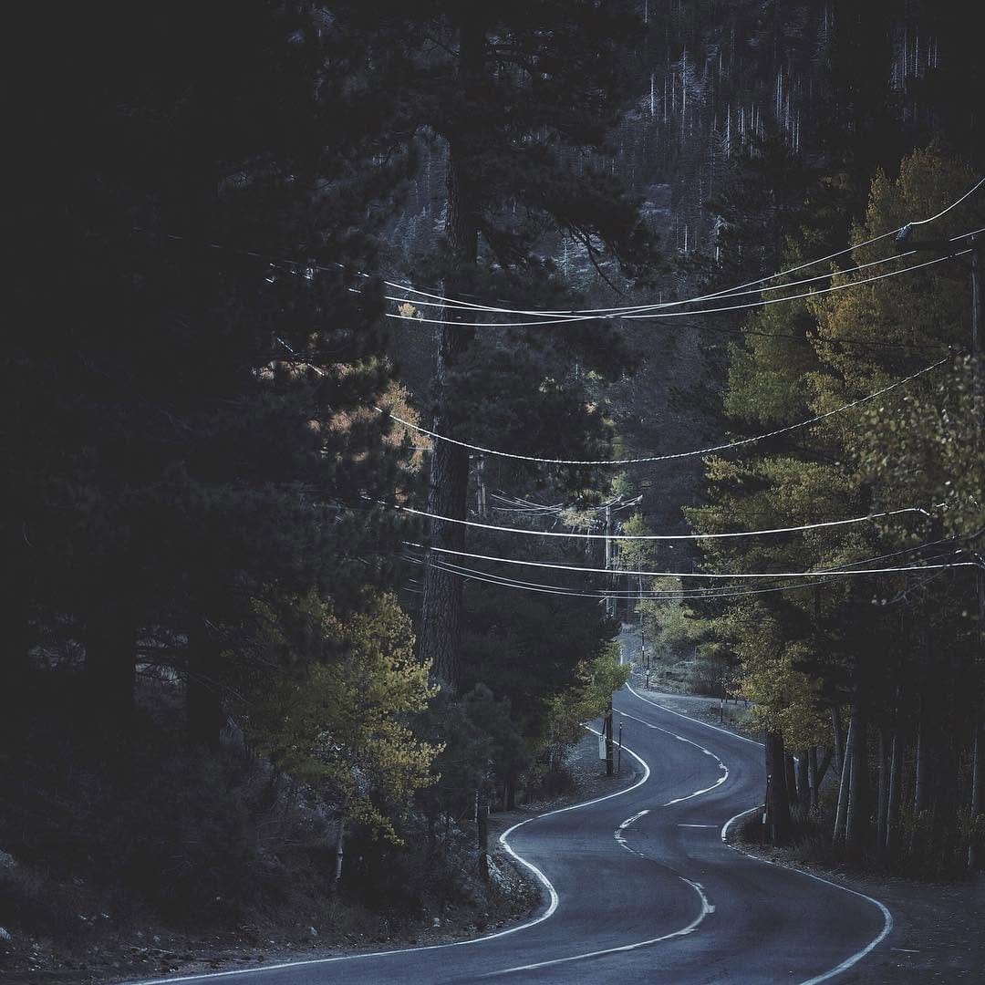 Post 8 by Patricia •🌷🐝• on Instagram (image)