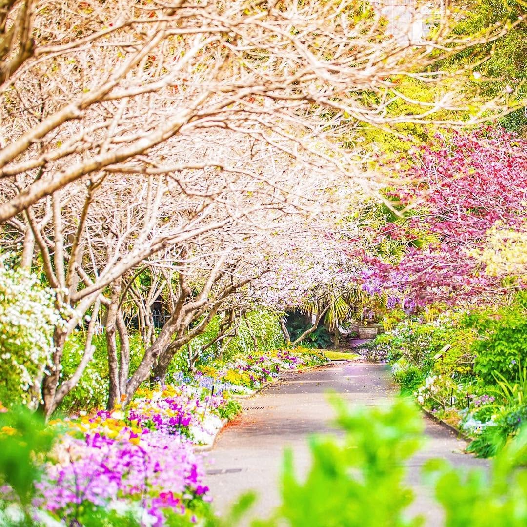 Post 5 by Lake Macquarie Photographer on Instagram (image)